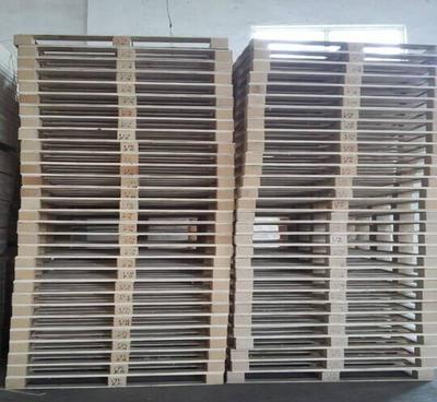 木托盘选购指南 聚焦杨木托盘，解析价格、厂家与选择要点